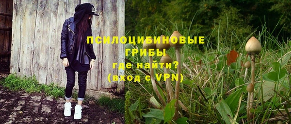 mdpv Новозыбков
